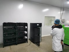 贵州遵义菌菇厂ups电源安装项目